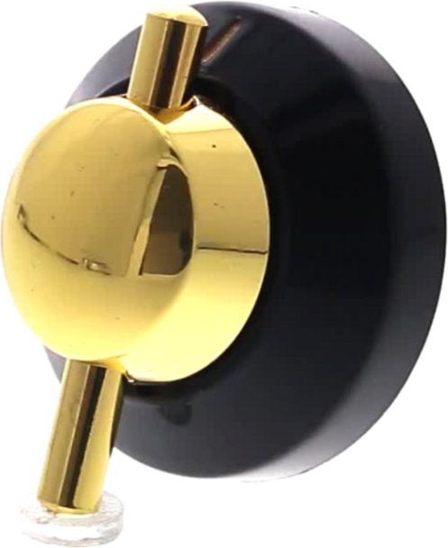 MANETTE Four AXE 9H diam 6mm dorée remplacée par chromée