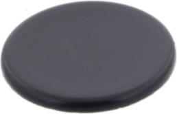 CHAPEAU Plaque BRULEUR Auxiliaire 45mm
