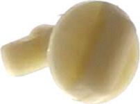 BOUTON Hotte PLAFONNIER