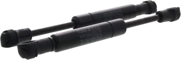 VERIN Hotte (LOT DE 2) 0100 N